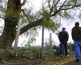 梅林与亚瑟的前世今生封面图