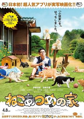 猫咪后院之家封面图