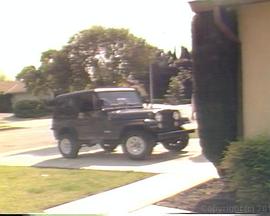 箱中珍宝封面图