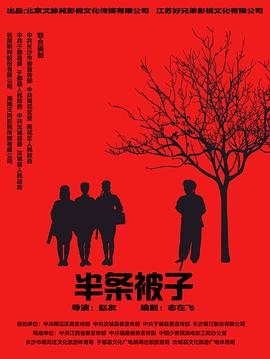 半条被子封面图