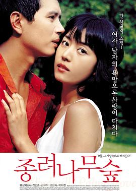 棕榈树丛封面图