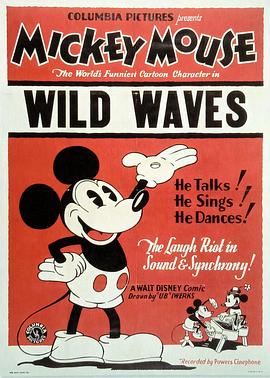 凶猛的巨浪封面图