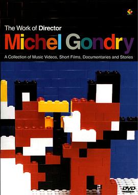The Work of Director Michel Gondry封面图