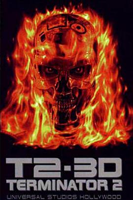 终结者2-3D：超时空战役封面图