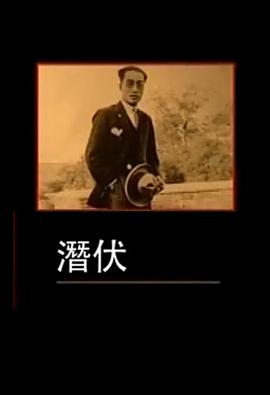 凤凰大视野：潜伏封面图