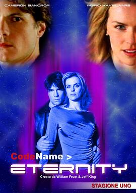 代号永恒封面图