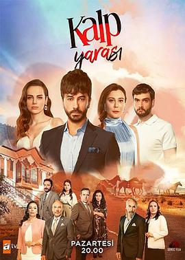 心伤 第一季封面图