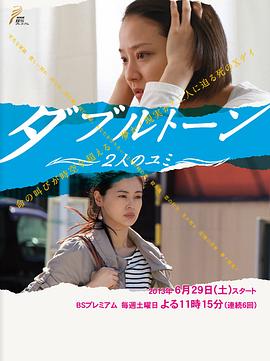 双重声响封面图