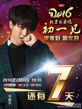 2016年北京电视台春节联欢晚会封面图