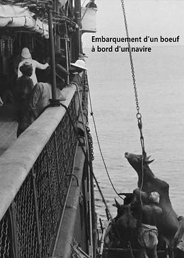 运牛上大船封面图