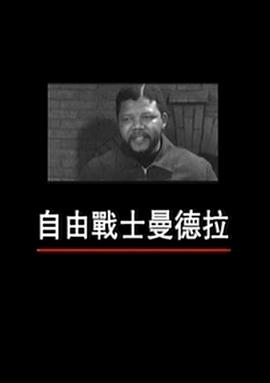 自由战士曼德拉封面图