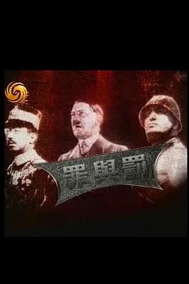 凤凰大视野之罪与罚封面图