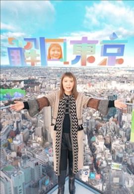 解风东京封面图