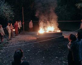 入禁随俗封面图