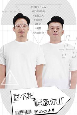 對不起 標籤你 II封面图