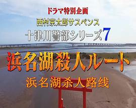 西村京太郎悬疑推理.十津川警部系列7 浜名湖杀人路线封面图