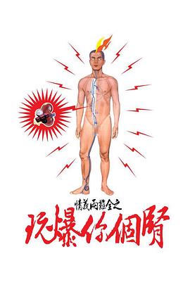 情义两难全之玩爆你个肾封面图