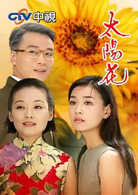 太阳花封面图
