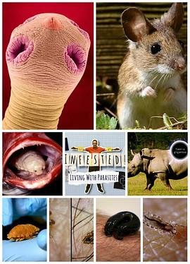 与虫共存封面图