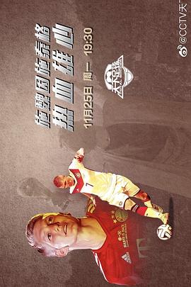 施魏因斯泰格：热血雄心封面图