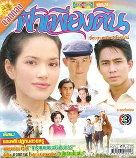 回归大地封面图