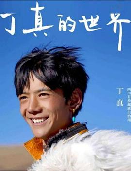 丁真的世界封面图