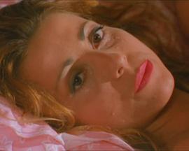 双妻艳史封面图