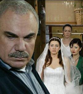 落叶 第五季封面图