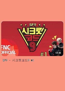 Secret Code 9封面图