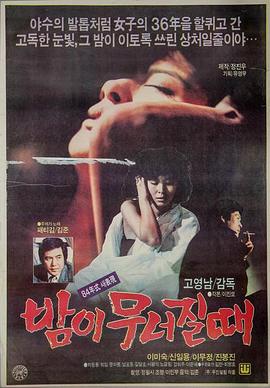 夜晚破碎之际封面图