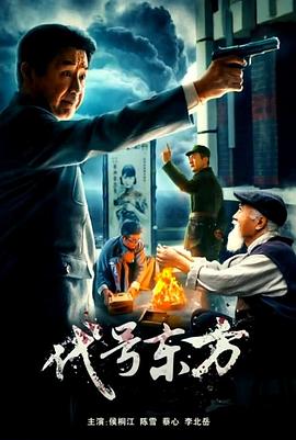 代号东方封面图