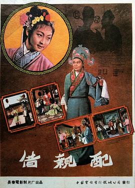 借亲配封面图
