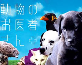 爱心动物医生封面图