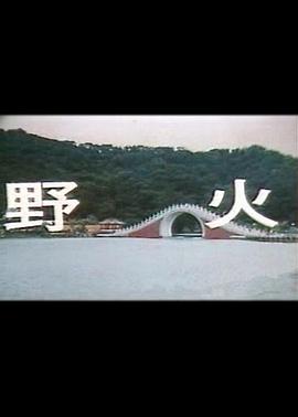 野火封面图