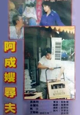 阿成嫂寻夫封面图