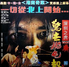 深圳之虎惊世桃色劫封面图