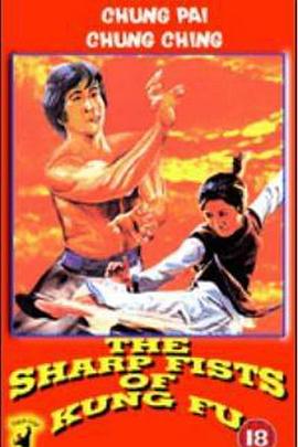 铁掌连环拳封面图