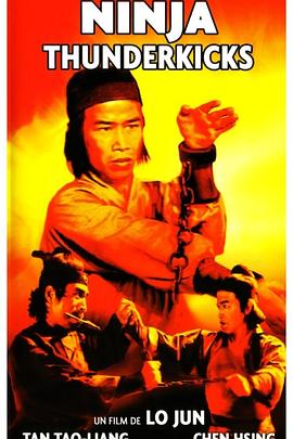 江湖一盏灯封面图