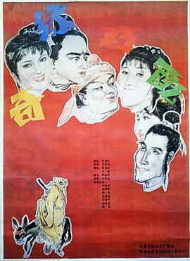 奇缘巧配封面图