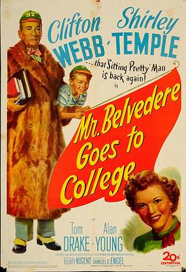 校园长春树封面图