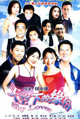 天空下的缘分封面图