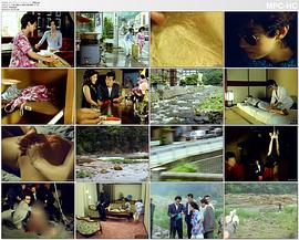 ザ・ブラインドキャット封面图