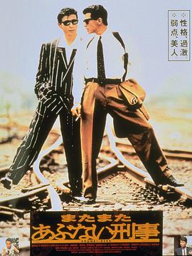 玩命警探2封面图