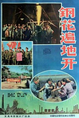 钢花遍地开封面图