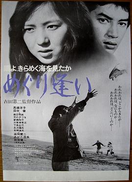 海鸥，你见过波光粼粼的大海吗？一次邂逅封面图