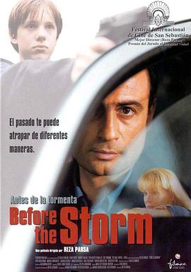 暴风雨将至封面图