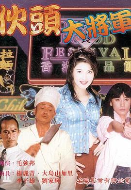 伙头大将军封面图