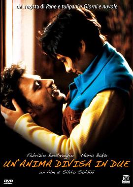 灵魂分两半封面图