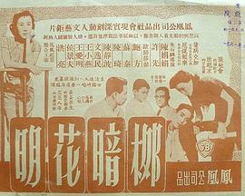 柳暗花明封面图