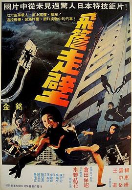 飞檐走壁封面图